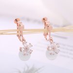 Fashion Women's Earrings,S925 Silver Earrings, Pearl Earrings, Crystal Earrings for Girls, Ear Studs for Women and Ladies