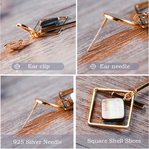 Fashion Women Earrings, 925 Silver Needle Earrings for Women