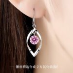 New Korean Version of 925 Silver Earrings, Ladies Fashion Diamond Earrings